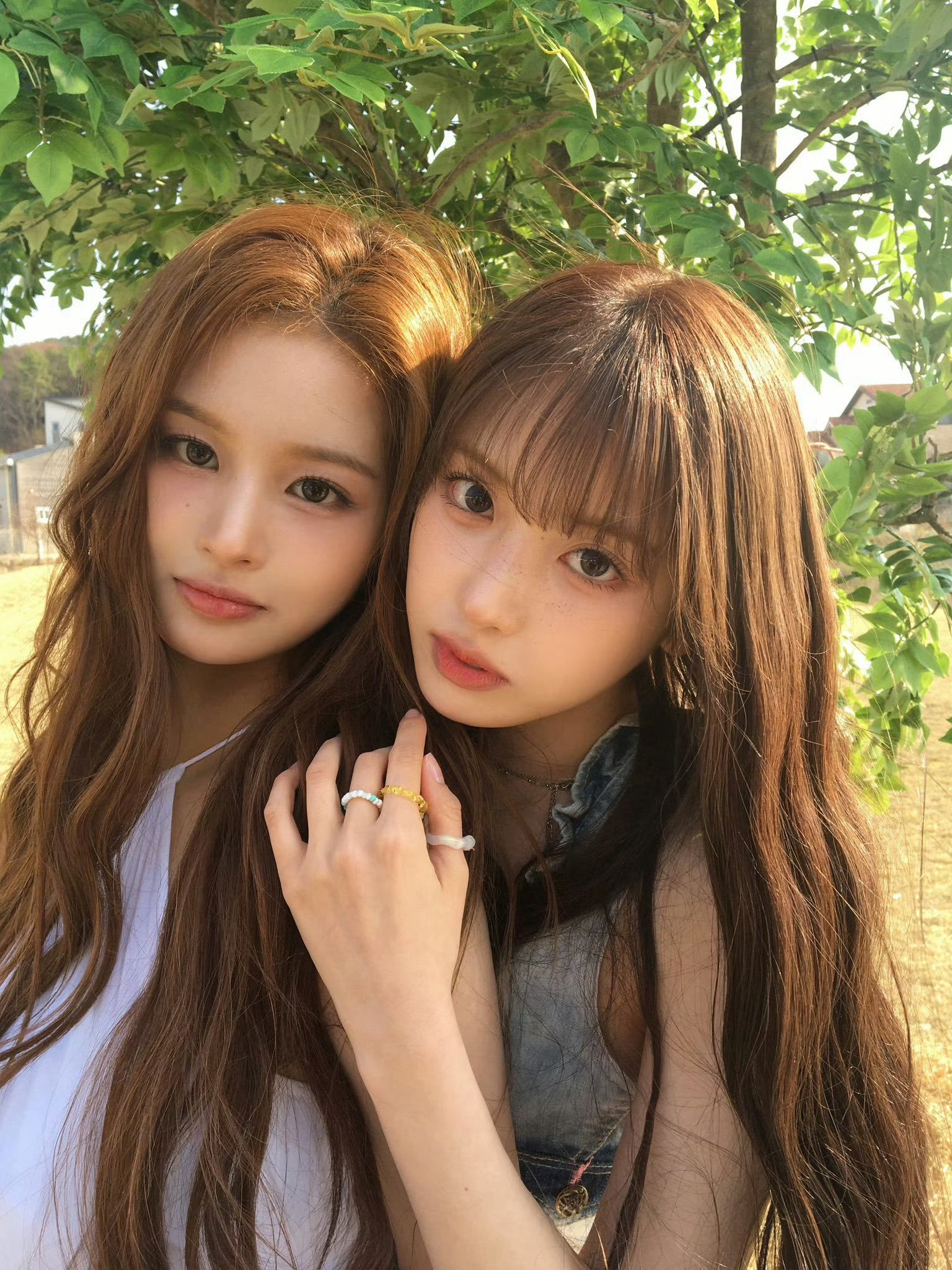 雪允 & 金智羽纯情百合少女漫连载中 ​​​