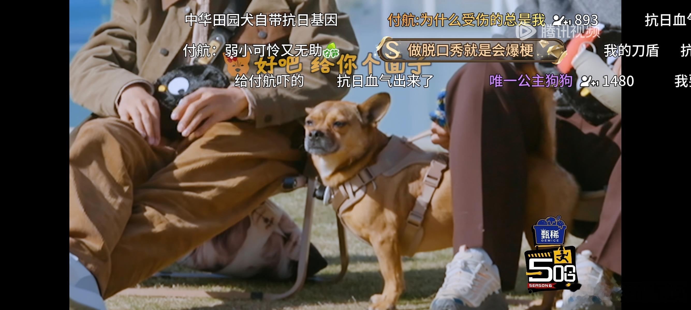 分享图片 