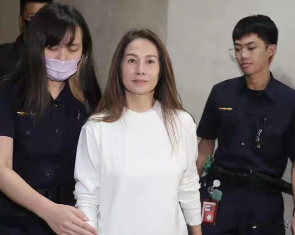 高金素梅重判12年半，绿营大佬欠1.7亿却抓不到！同样是涉及大案件，蓝营民代往死