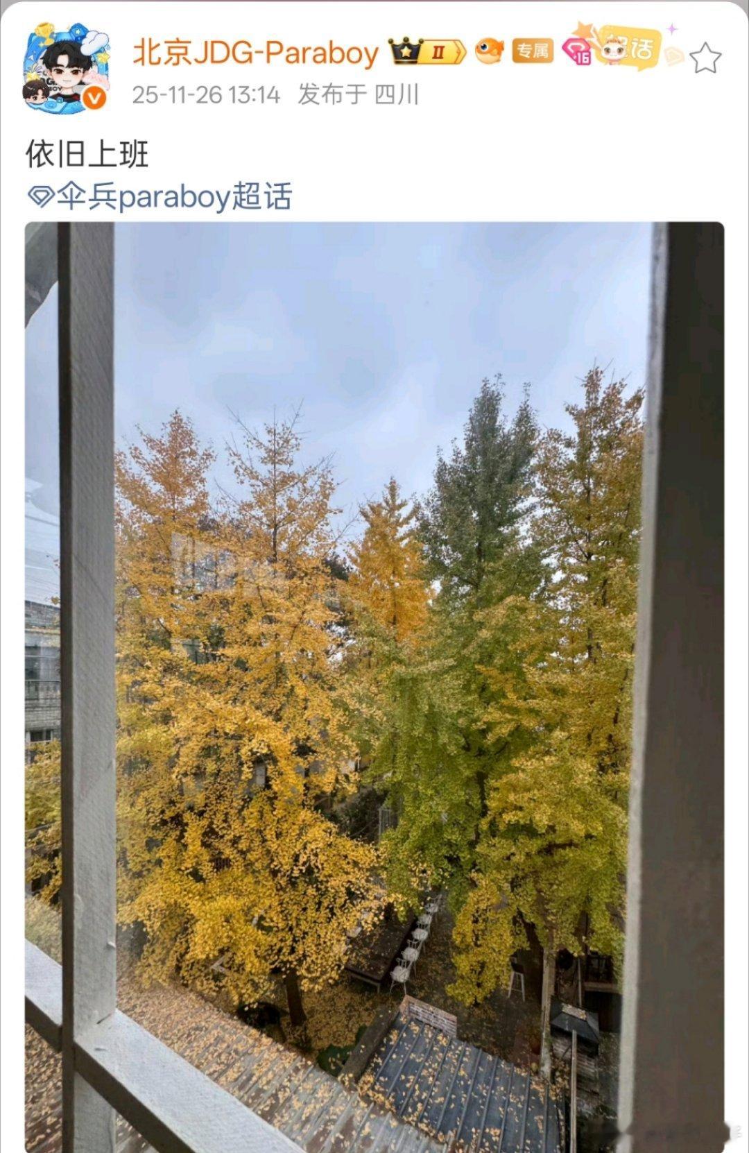 伞兵卡点1314 伞兵卡点1314上班伞兵paraboy