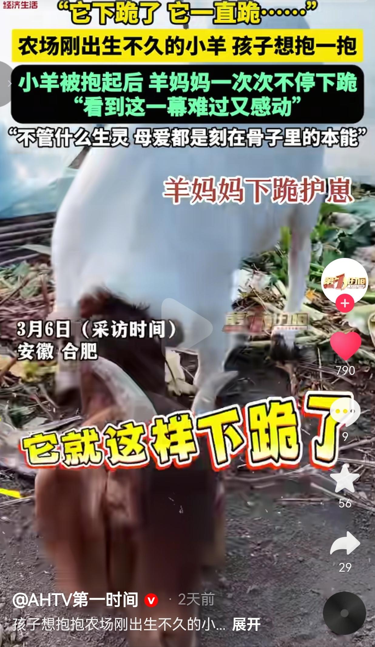 母爱不分物种！3月6号，安徽合肥一农场里，羊妈妈刚生下一只小羊羔，因为孩子想抱一