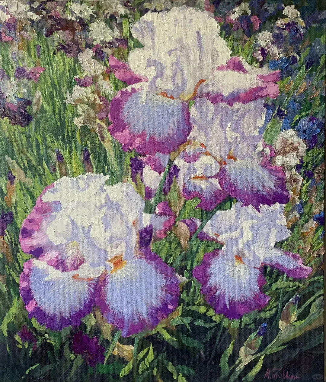 米沙大叔的新品 尺寸60/70