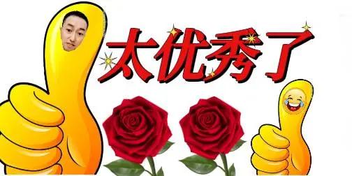 太厉害了中国有人才，作品优秀全力支持精彩分享[祈祷][玫瑰]