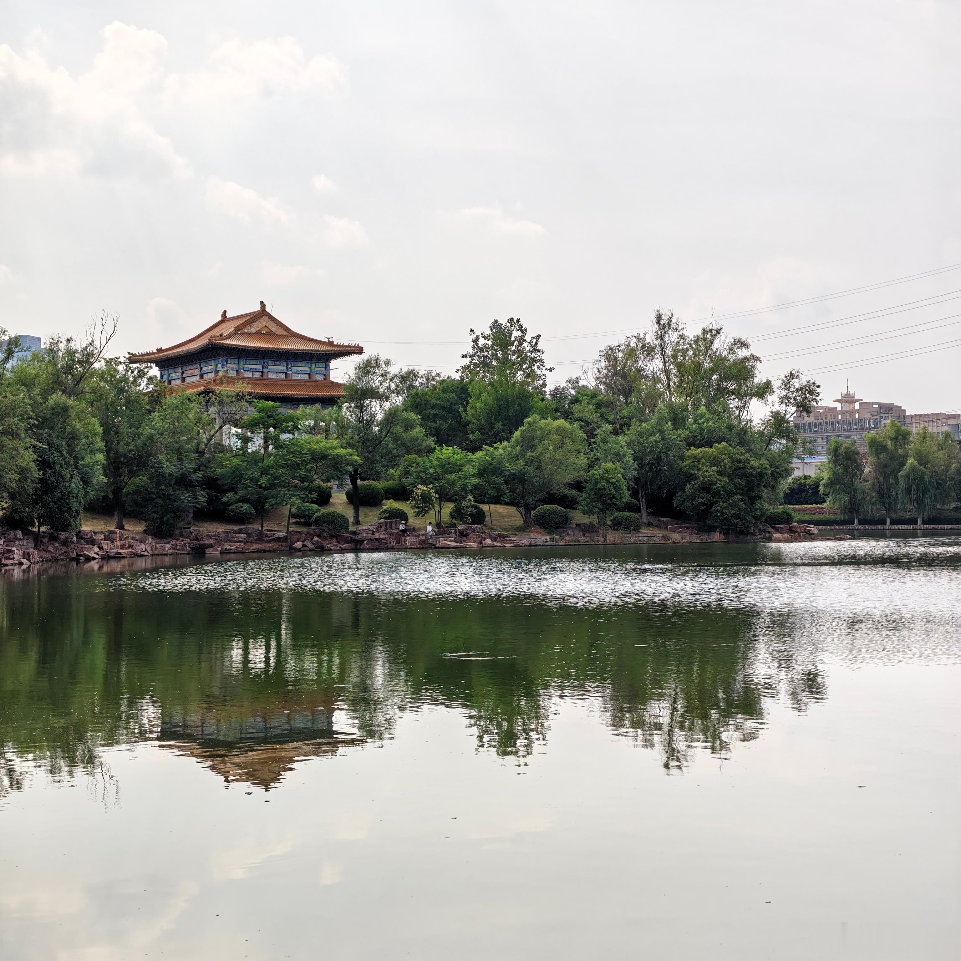 树把影子投进水里 以为找到了另一片天空 鱼在树梢游过 鸟在水底栖息 