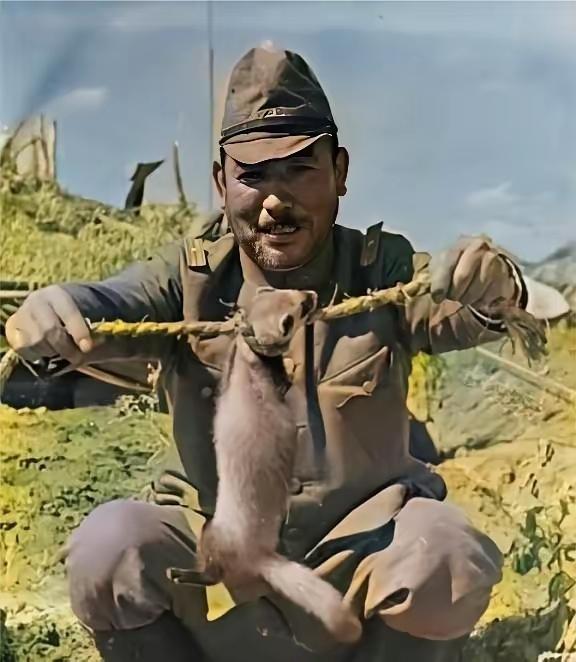 1937年，河北，有个日本军官碰到一只黄鼠狼，二话不说，就抄起一根草绳把它活活勒