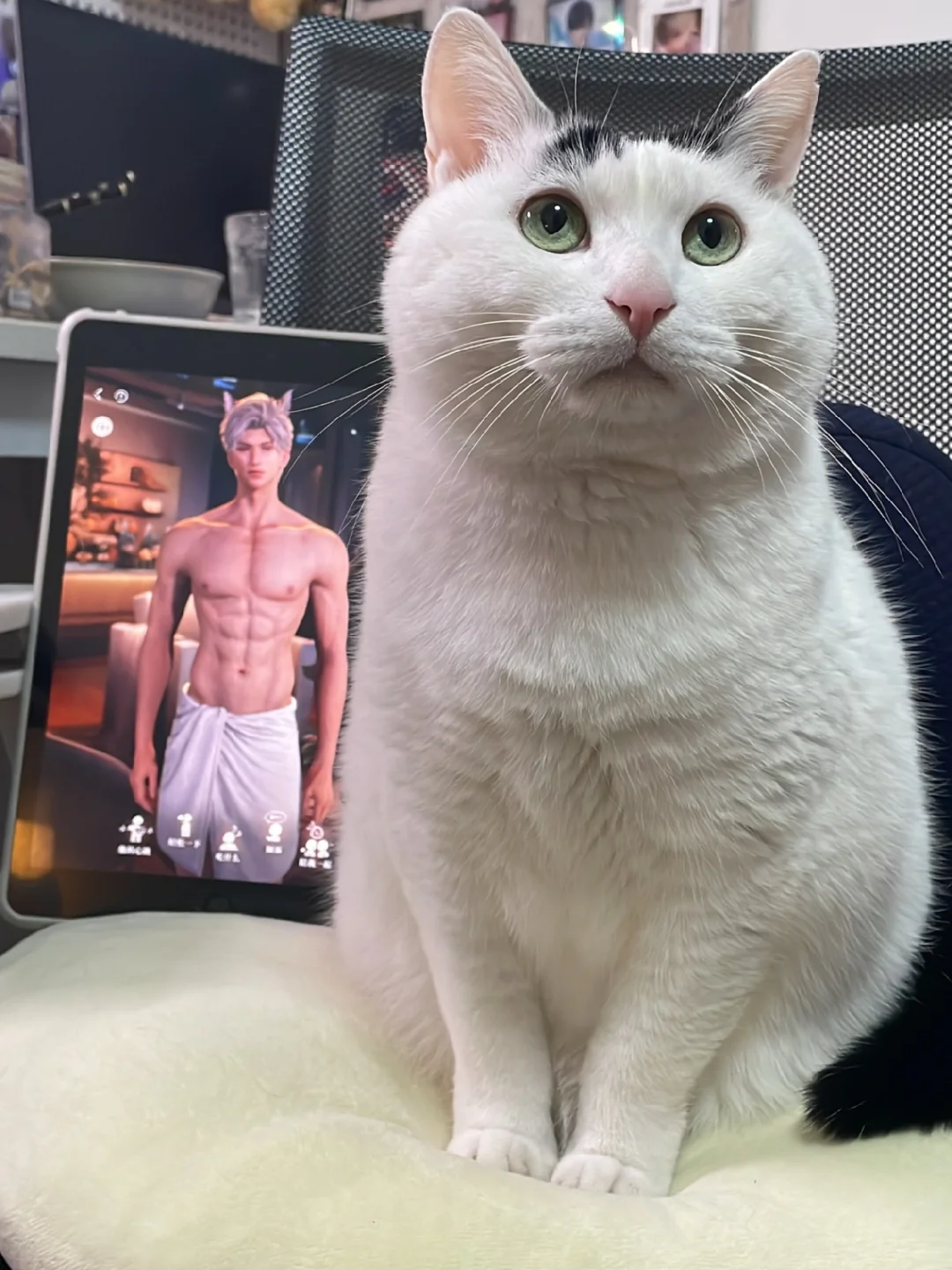 你们说实话，谁身材好？