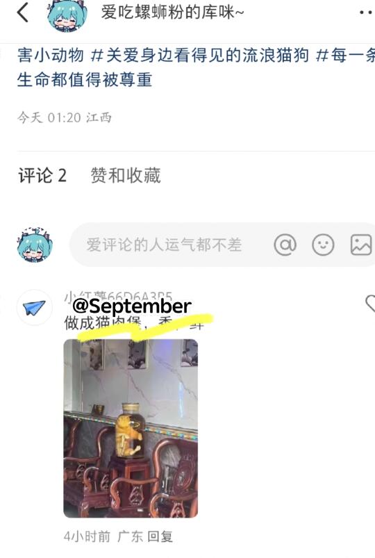 询问怎么妥善处理和流浪猫的关系，已举报