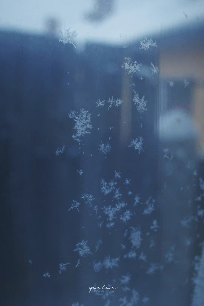 刻意去找的东西，往往是找不到的。天下万物的来和去，都有他的时间。—— 三毛 ​​