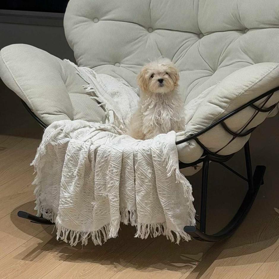 怎么和她妈妈一样啊 ​​​