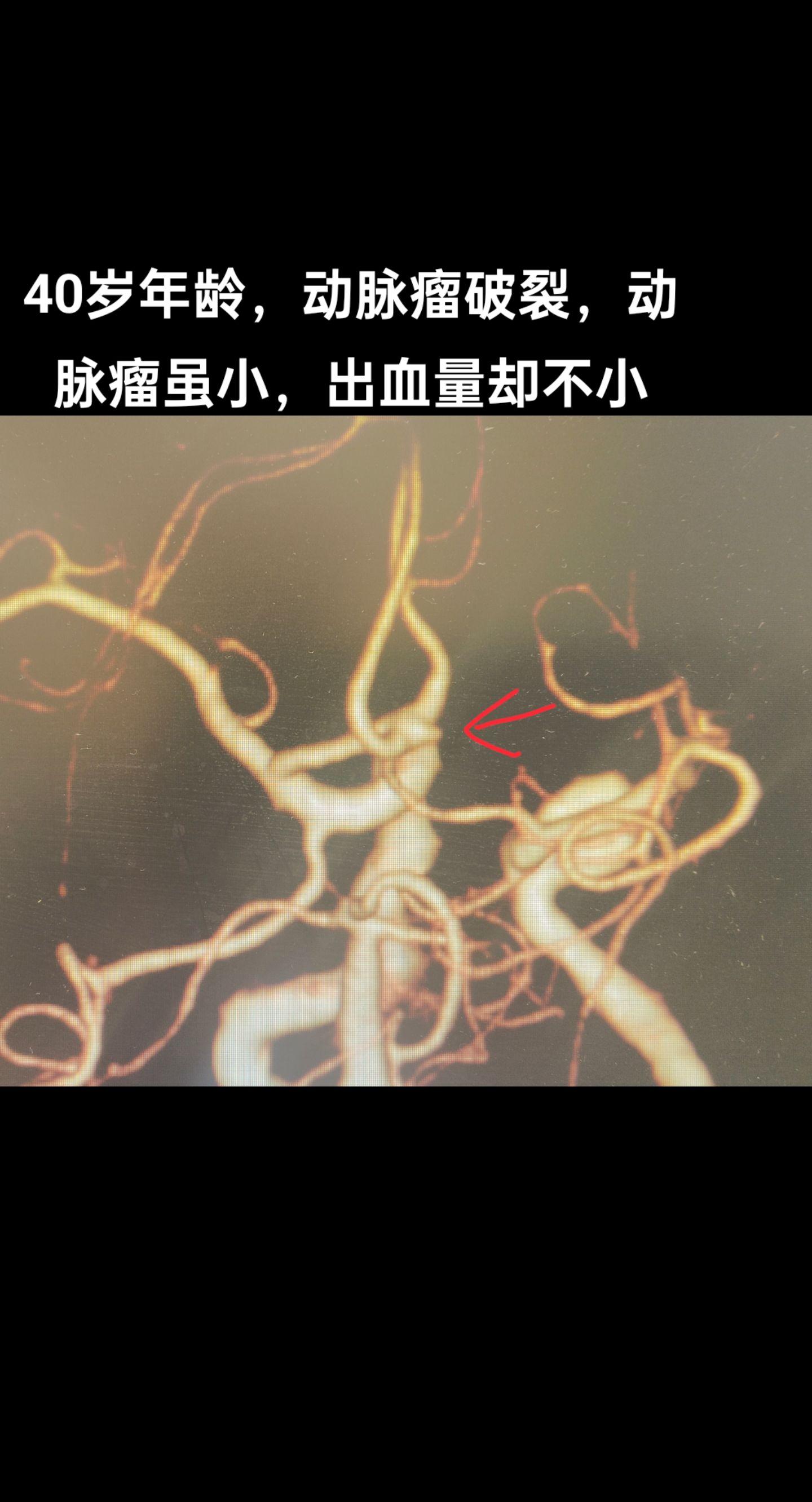 医路前行