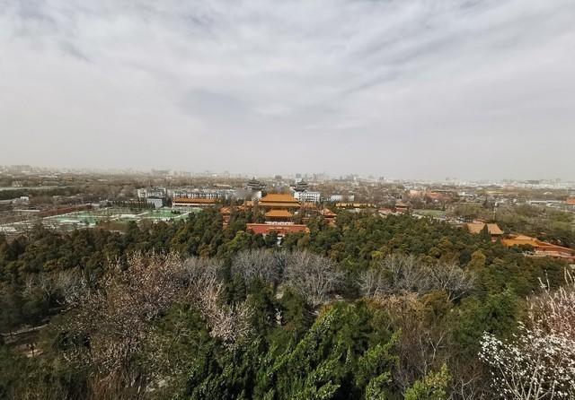 1969年，在北京刑场边的老槐树下，60岁的吴晗被捆在树上，可围观的人群里，有他