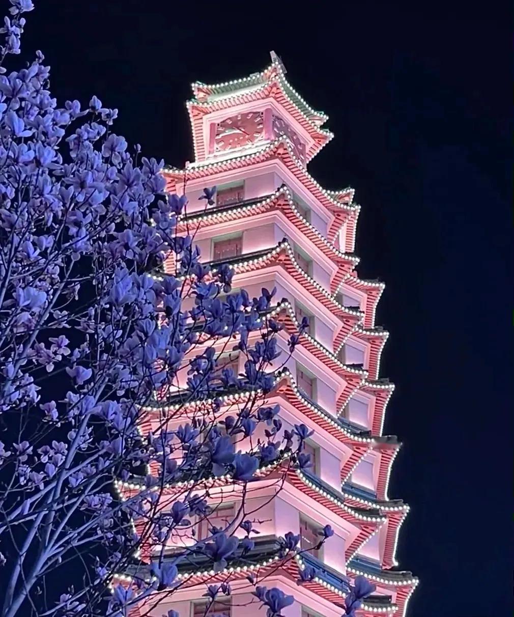 郑州这地，最近可是有点儿不一样！
以前的白领现在变身“带餐侠”，人手一个便当包，