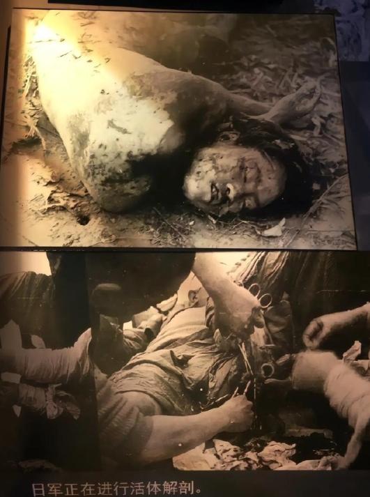 一名澳洲普通人，在知晓了南京大屠杀和731部队的滔天罪行后，内心无比震撼，他恰好