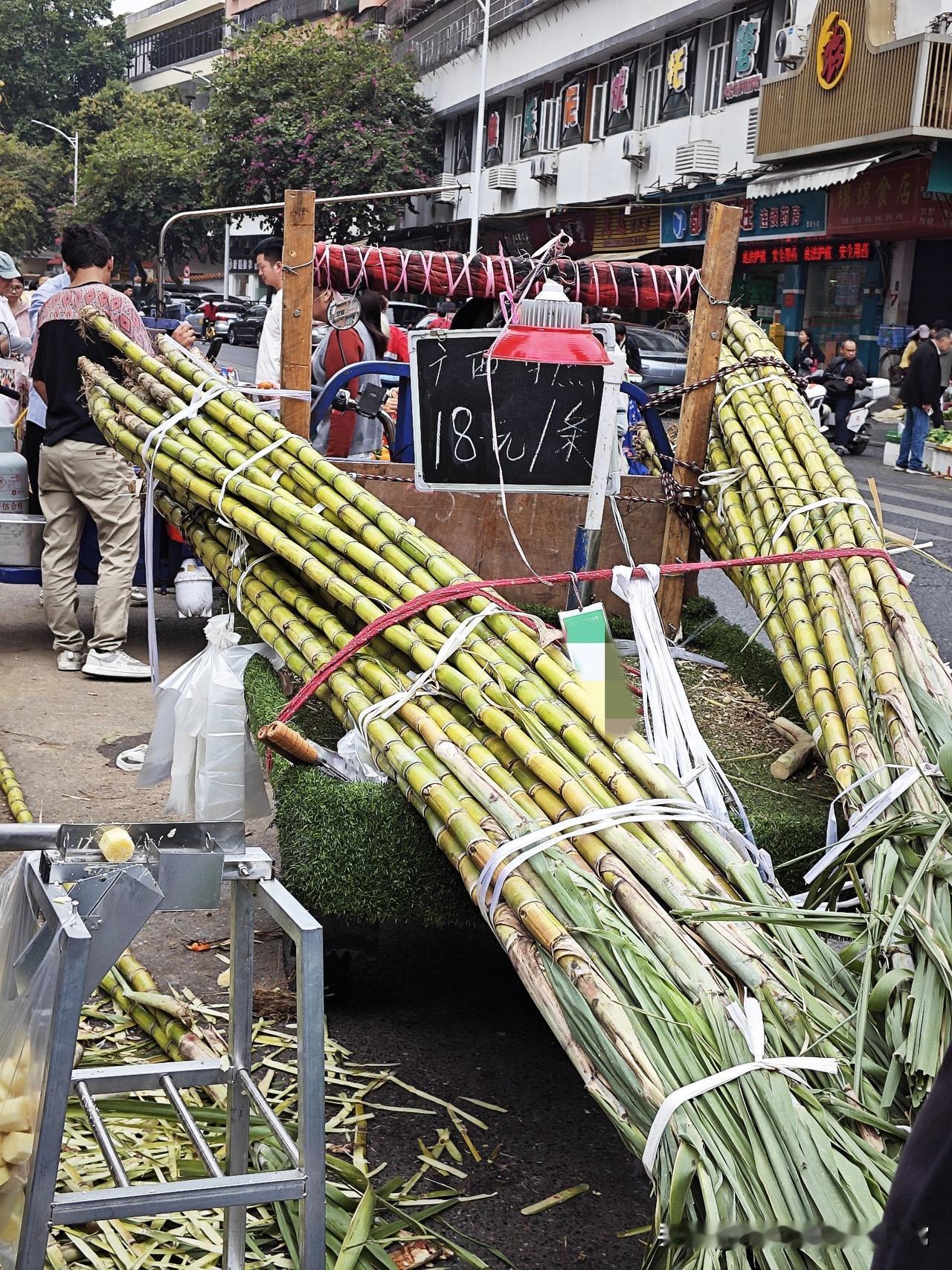城里甘蔗18元一根，乡下30元一根，这差价我惊了！
 
今天在城里街头看到卖甘蔗