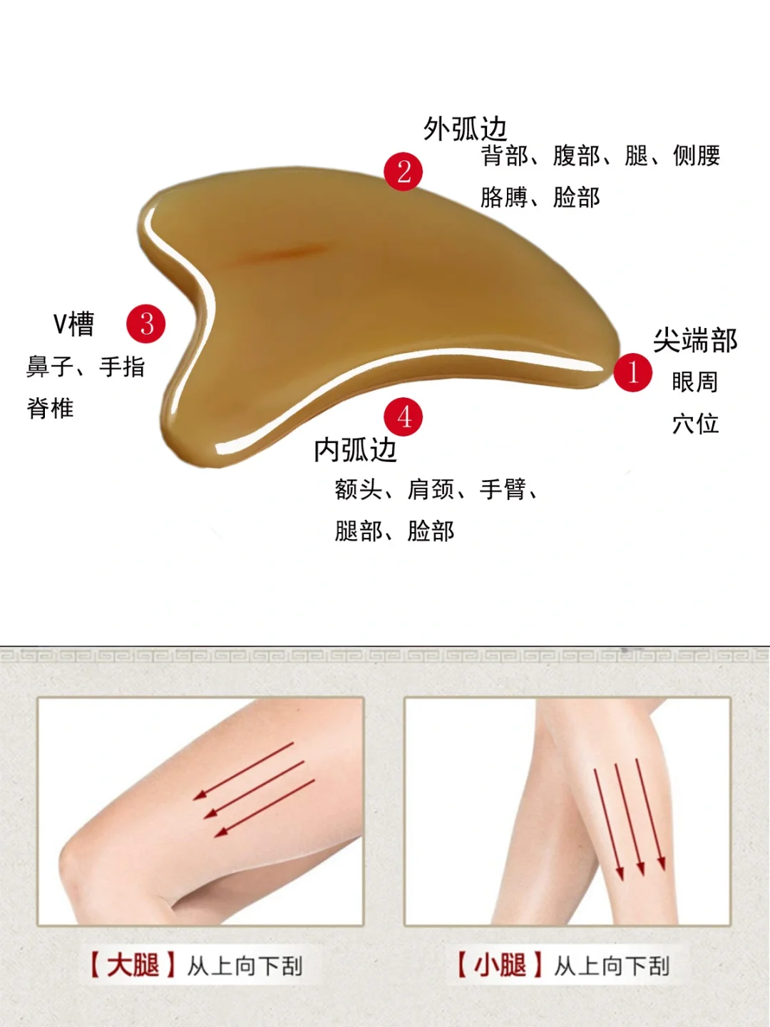 腿部怎么用刮痧板？认识刮痧板4个部位