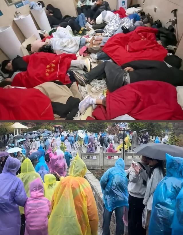很多游客愿意挤泰山厕所过夜
不是厕所环境舒适
也不是不舍得花钱找休息场所，而是突