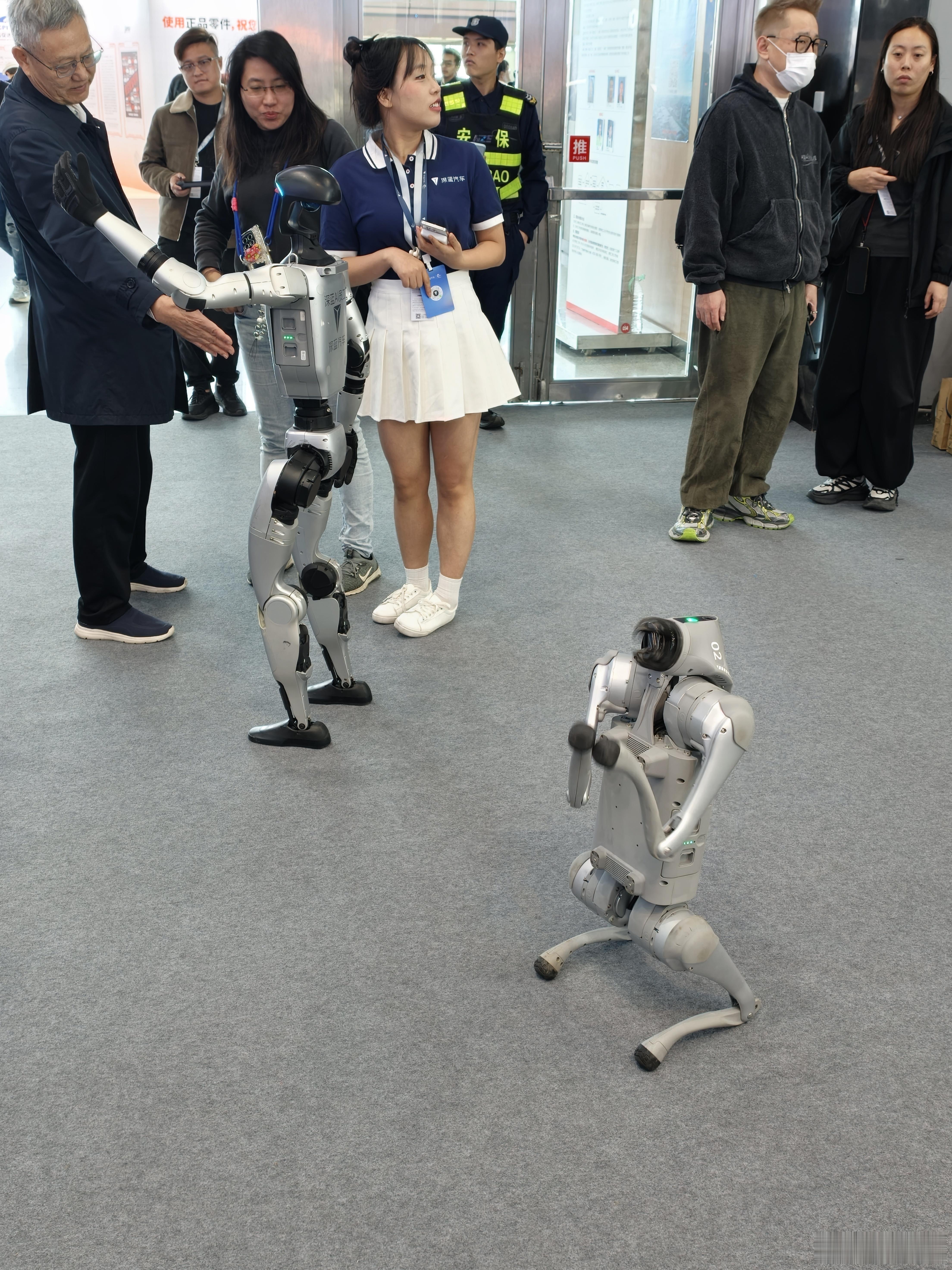 各大车展的常驻明星 