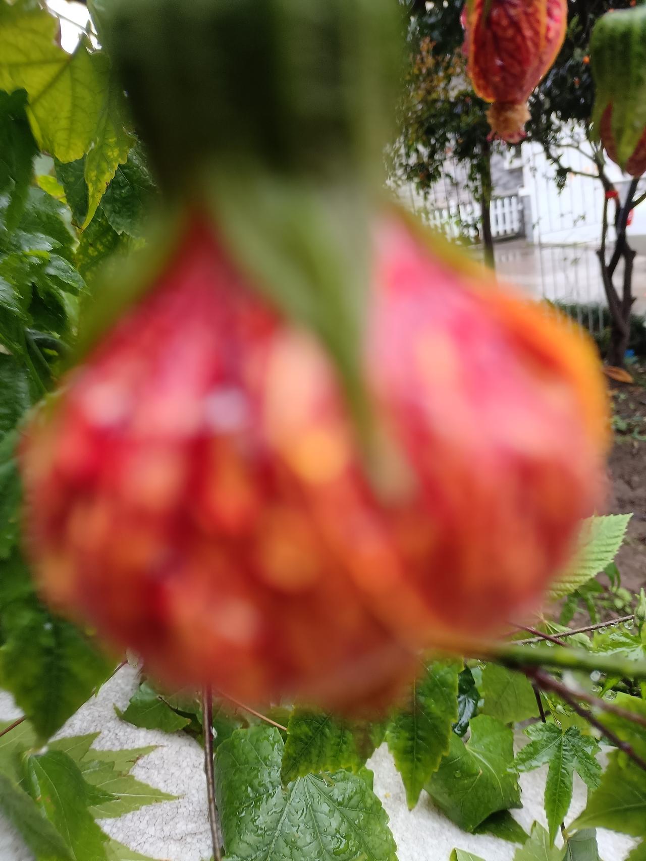 爱好写作，一位战友在写作时出口成章，那一刻深深印在脑海里，从今以后如何锻炼写作，