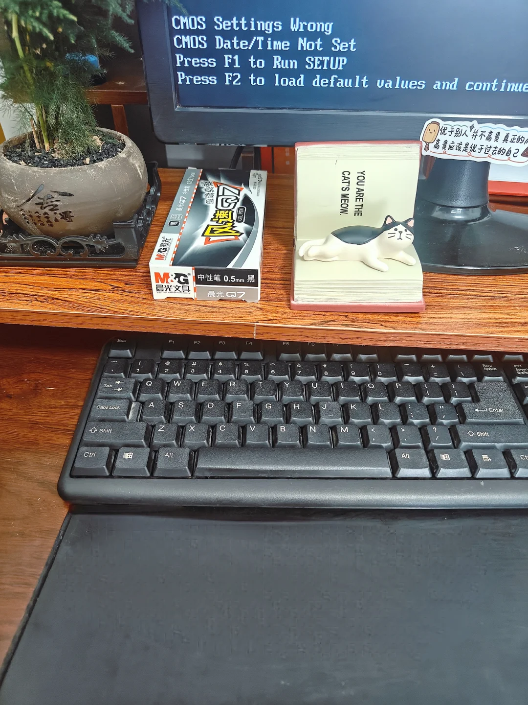 留意将来有大出息的体制内女性