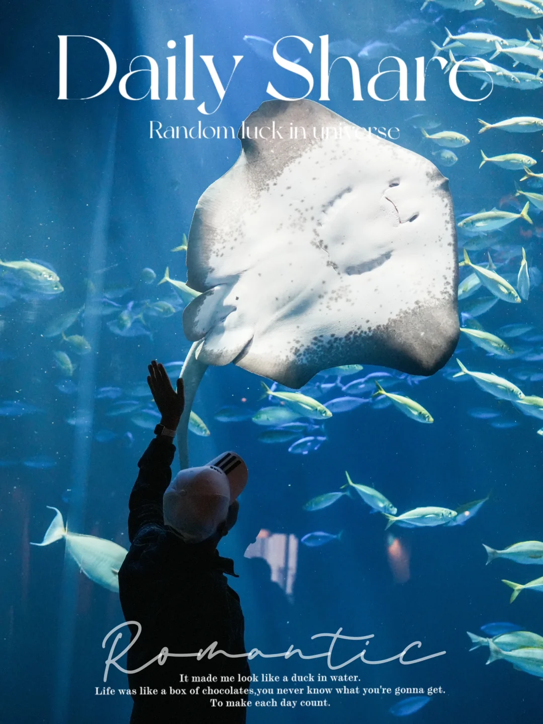 日本有许多值得一去的地方，去过了东京、冲绳等大众目的地之后，不如试试人少景美的小