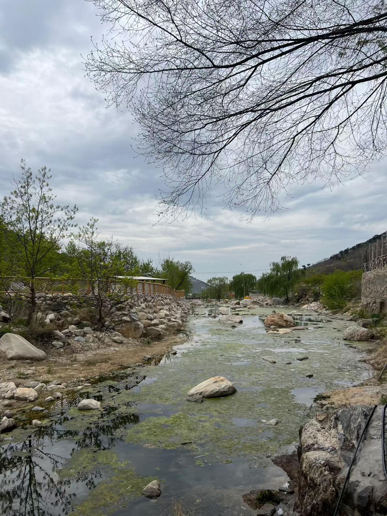 落花涑水忽自怜，桥头少女小渔船。
​梦里常忆村前景，醒来鬓白已中年。
​沂州城里