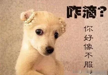 狗对熊说：“嫁给我吧，我会给你幸福的！” 
熊说：“才不嫁你呢，嫁给你只会生狗熊