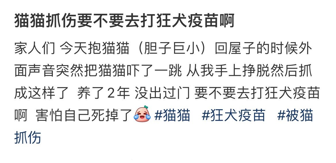 猫猫抓伤要不要去打狂犬疫苗啊 ​​​