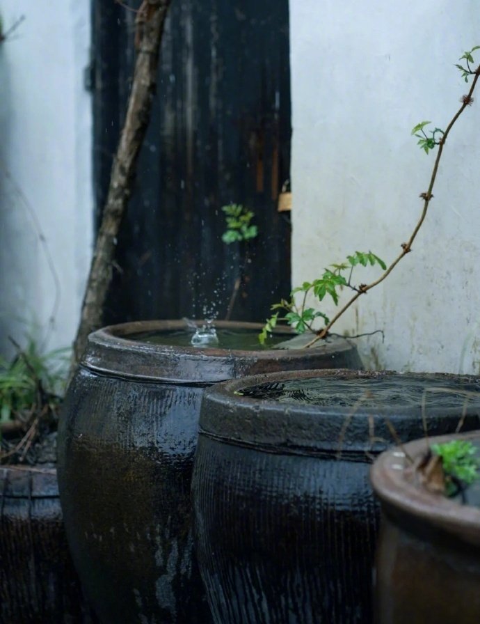 烟雨青丝百尺楼，江南树树拂人头。 ​​​