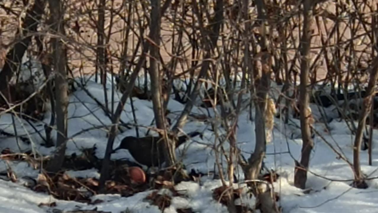 绩效考核不能异化为企业任性解雇“挡箭牌”。有的企业故意制定过于严苛的考核制度，动