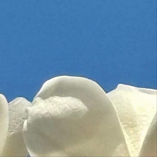 所谓成长，就是去接受任何在生命中发生的状况。即使是不幸的，不好的，也要去面对它，