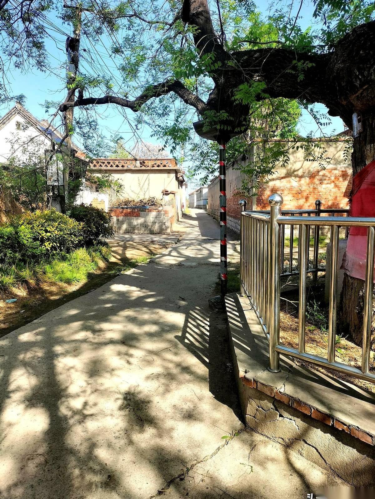 前两年大半夜连件衣裳都不披、尖叫着往村外野地里疯跑的那个小媳妇，今天一大早，正抡