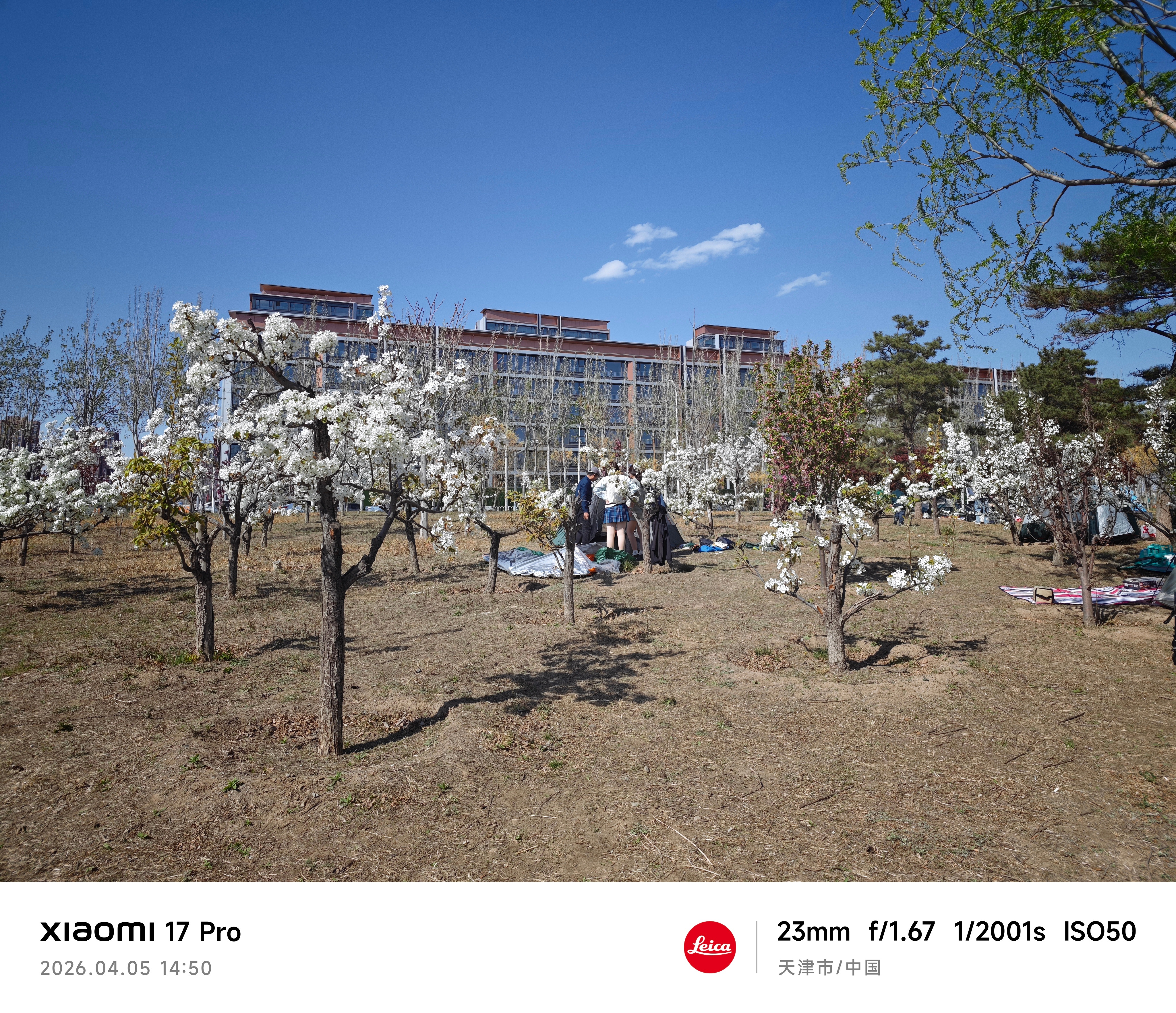 今天两个爸爸带娃，中午吃完火锅后，下午和朋友一起带孩子去公园露营，别人在打麻将，