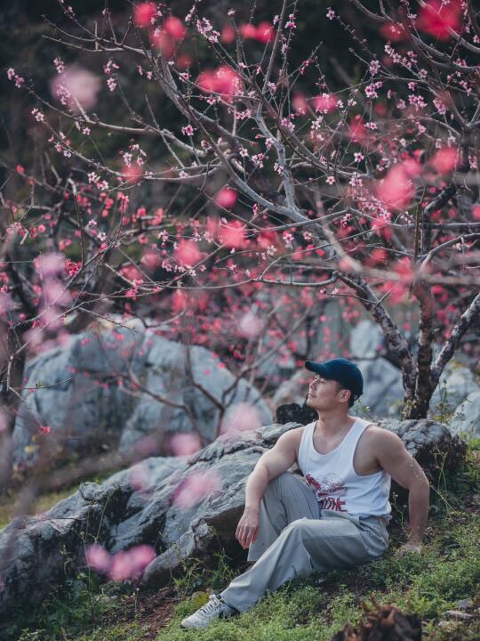 水墨桃花笺：翁源春日秘境，饮一盅绯红花雪