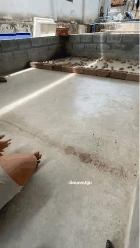 食物就是无声而有力的召唤，食物所在的地方，就是势无可挡的前进方向。