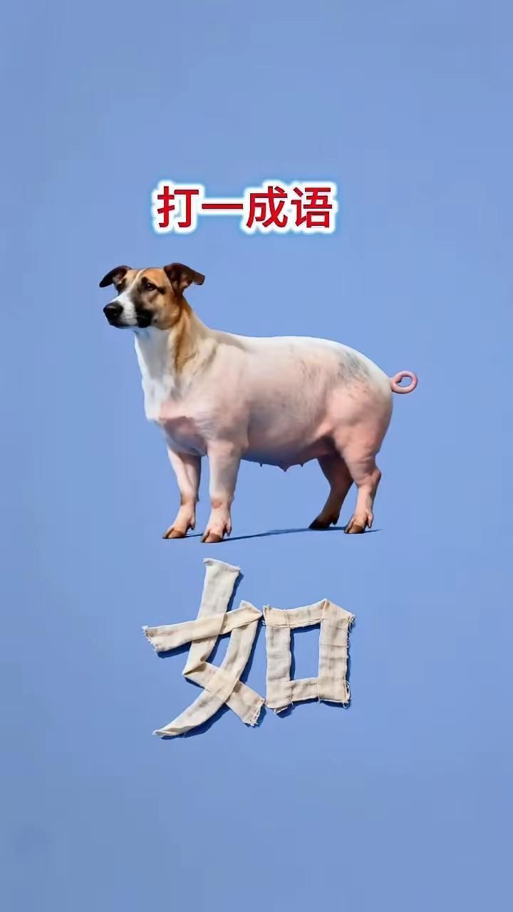 莫愁前路无知己，吃喝玩乐伴成语[送自己一朵花][送自己一朵花][送自己一朵花][