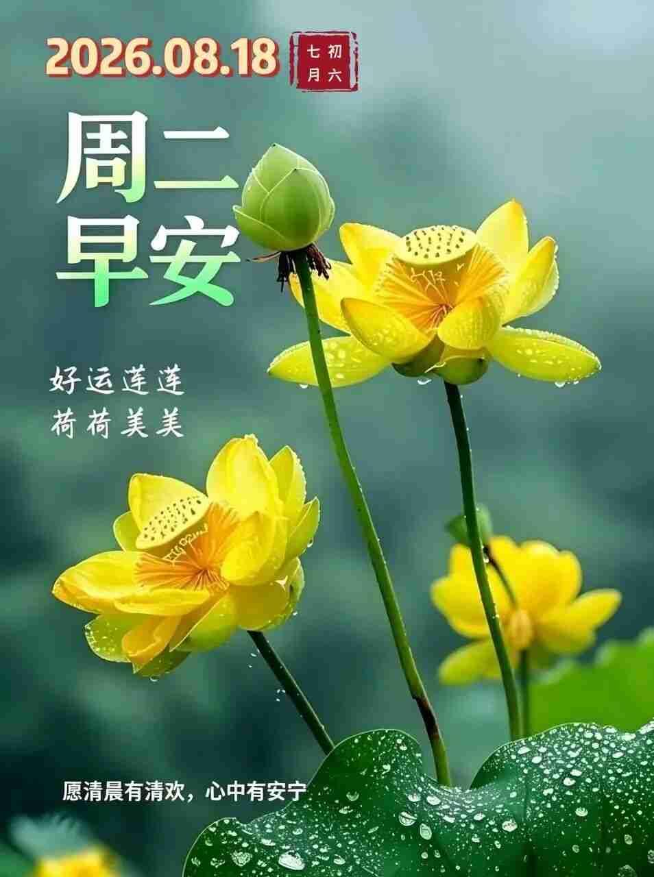 我的今日状态：😁轻松愉快
我这里的天气：🌤️多云