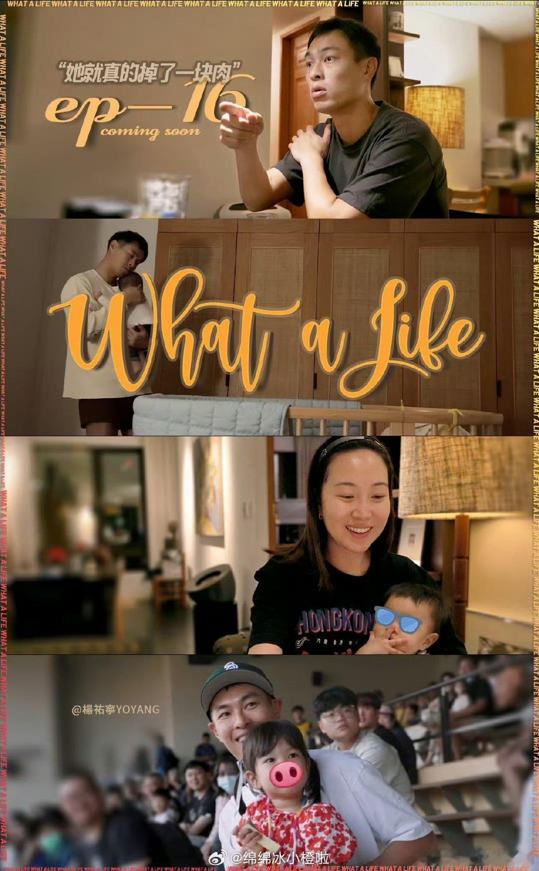 杨祐宁看过老婆的胎盘 蛙趣！绝了！杨祐宁说自己看过老婆的胎盘 我天哪，真的有点惊