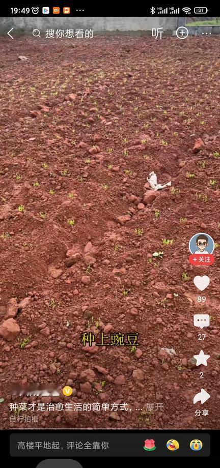 围墙3米5，菜畦却先绿，小二娃把镜头对准新别墅，弹幕齐刷刷刷一句：当年小妹儿连瓷