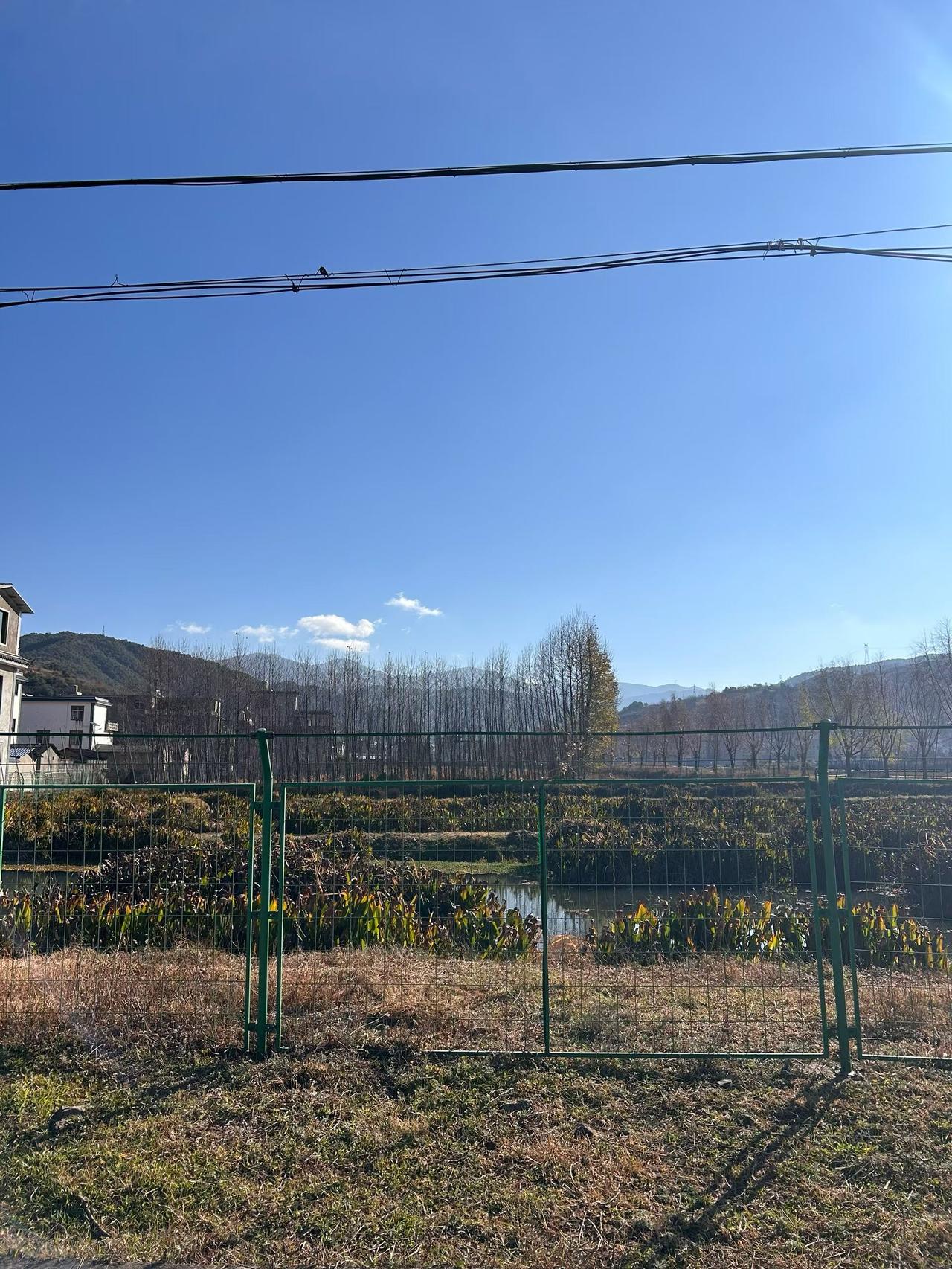 早上好啊大理！
 
早上好啊大理！一推开窗就被这片天给惊艳到了，纯纯的克莱因蓝，