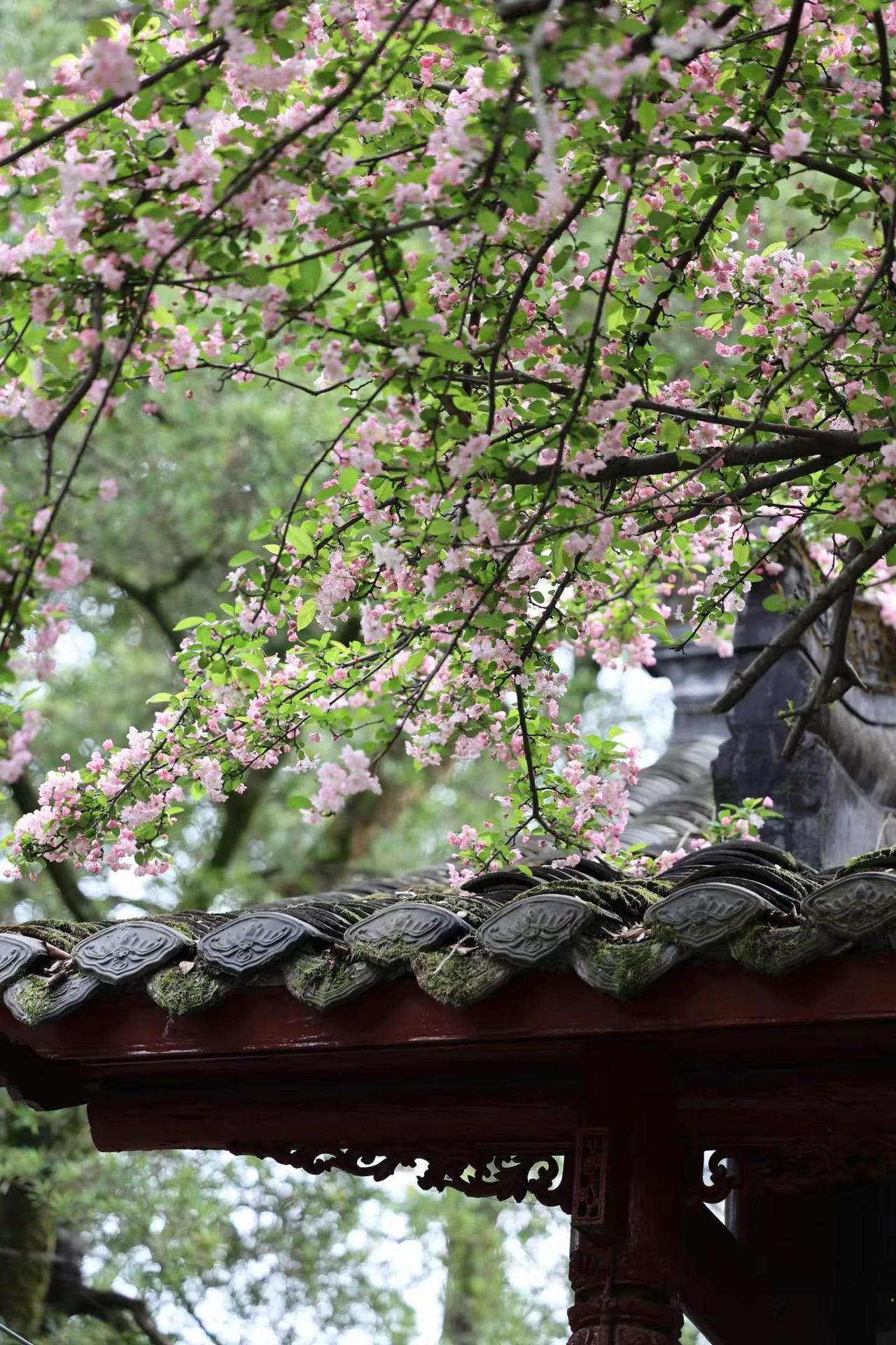 宇宙 天选之子 最美的风景 父亲的爱 父亲的叮啊