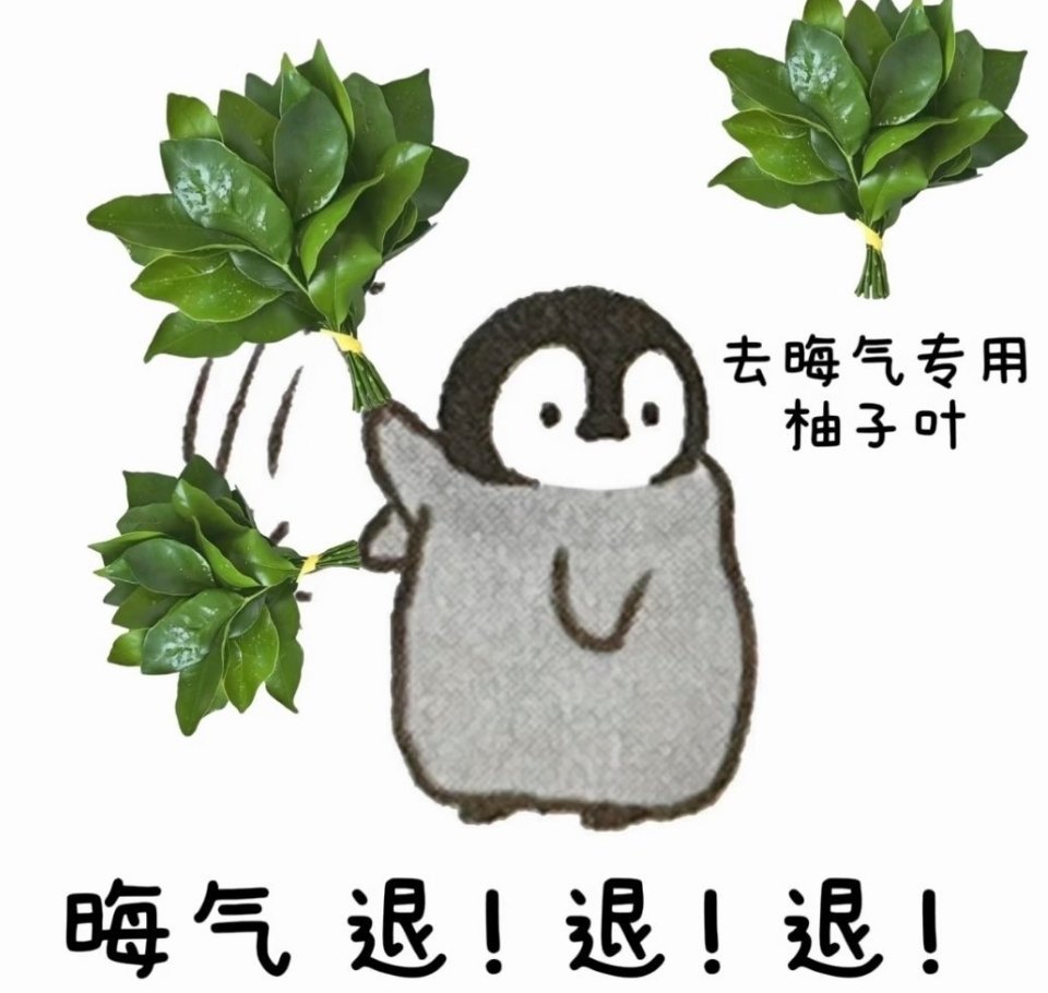 分享图片 