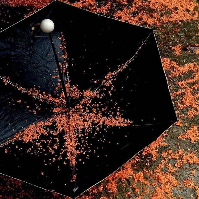 ɴɪᴄᴇຼ ᴅᴀʏ໌້ᮨ🫶🏻 祝我们 多赚钱 少生气  常开心 睡好觉 少焦