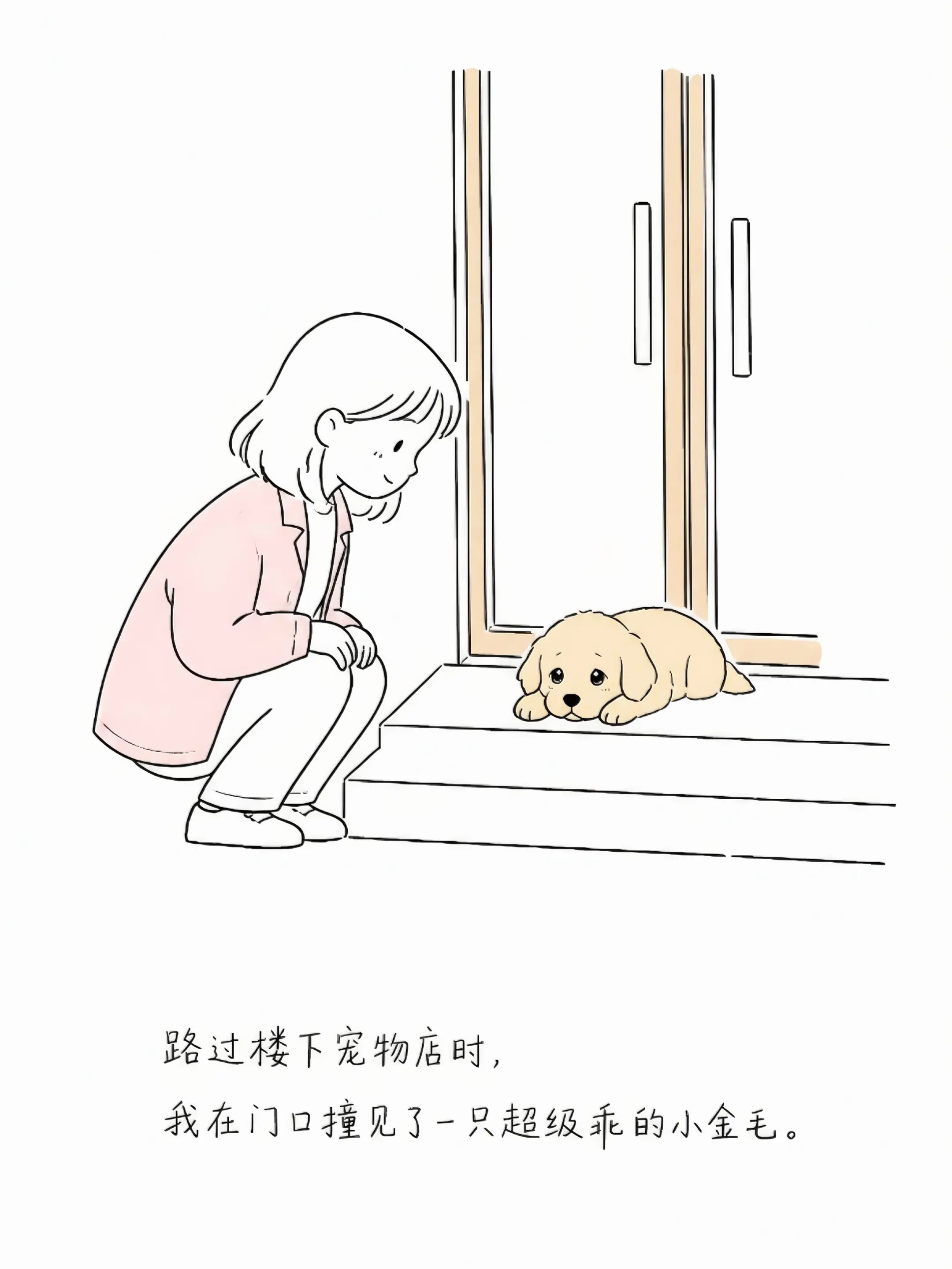 今天在宠物店我成了超好笑的大型误会！