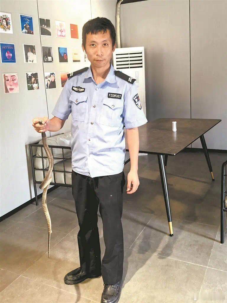 #泉州一咖啡店钻出一米长眼镜蛇#近日，福建泉州丰泽后渚海防派出所接到宝山社区一店