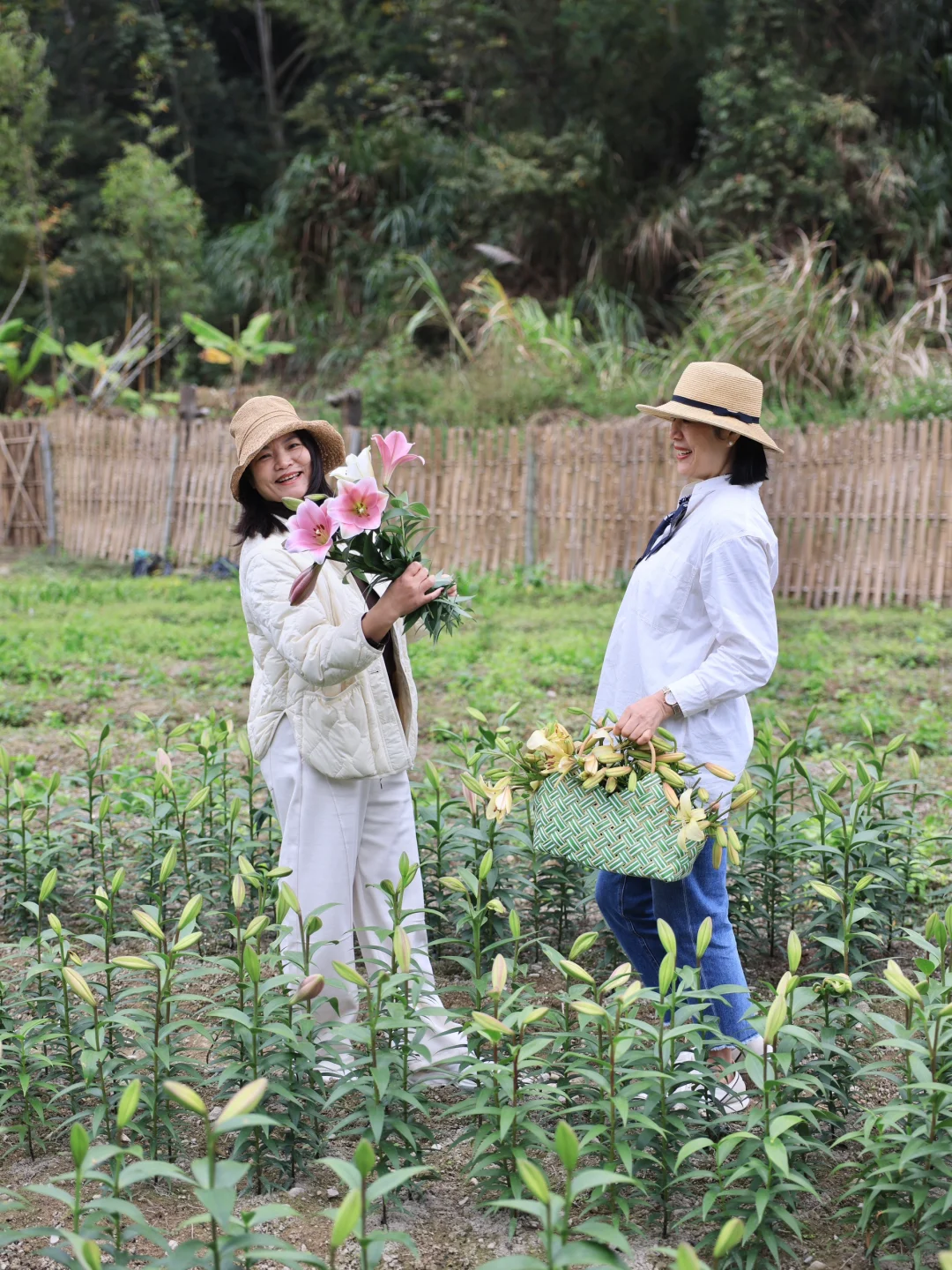 鲜花自由就这么简单