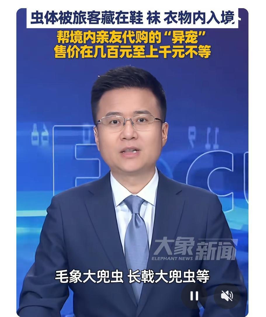 你能想象吗？最近，在青岛胶东机场海关上演了一场“昆虫大逃亡”，但最终这群“蟑螂界