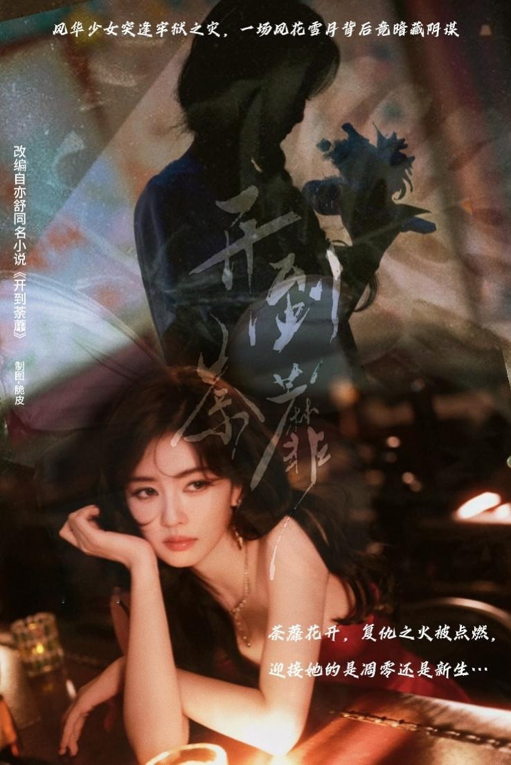 内娱上新❗【天之骄女一朝入狱】【复仇之火静待重燃】改编自亦舒同名作品 《开到荼蘼