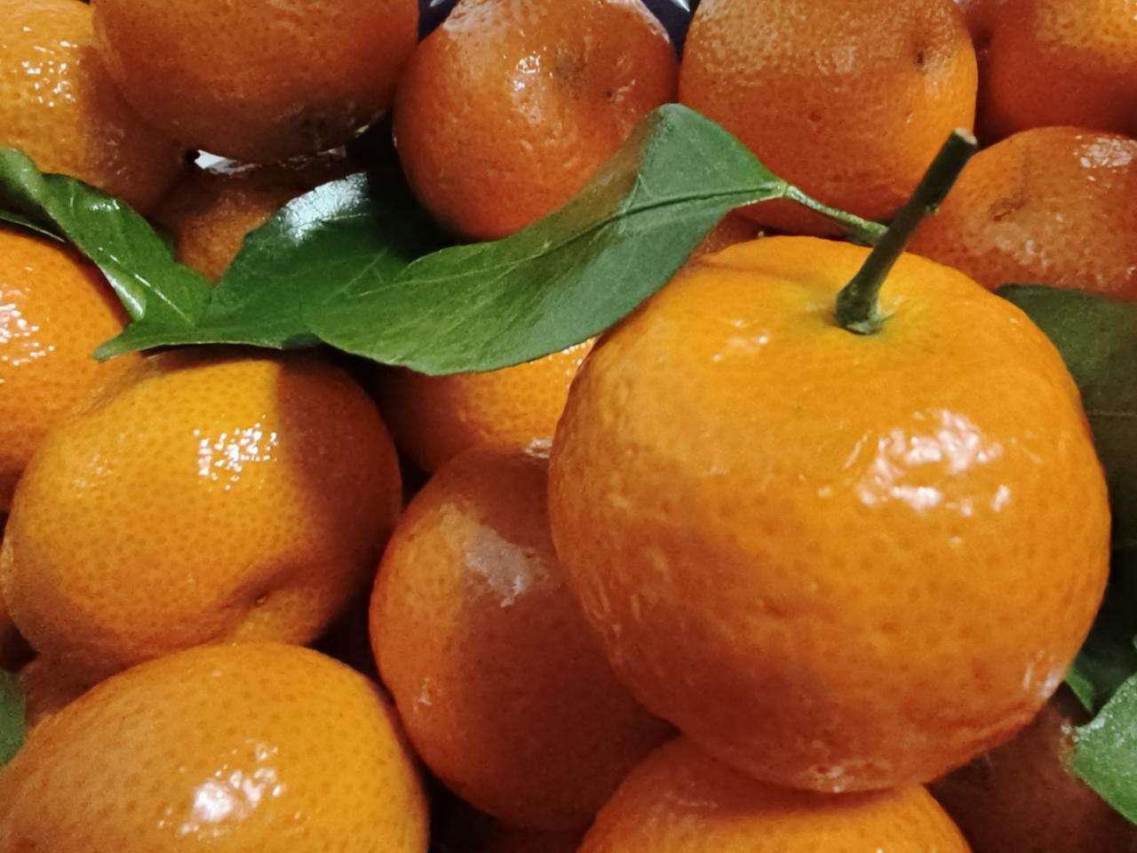 一骑红尘妃子笑
    我的快递水果来
    时速达真的方便
   下单两个小