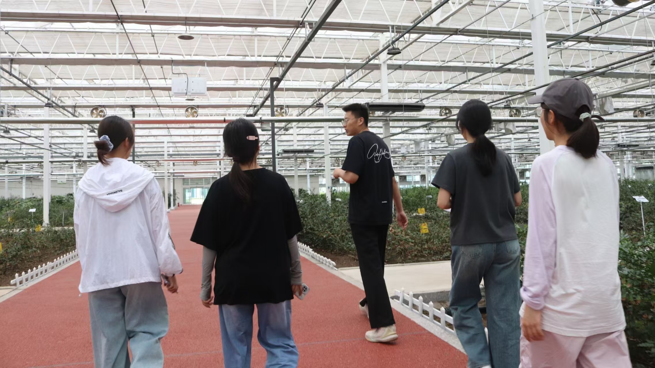 秦岭笑谈   寻味日照绿茶：青山育茗出新路，青春赋能茶乡兴暑假社会实践曲阜师范大