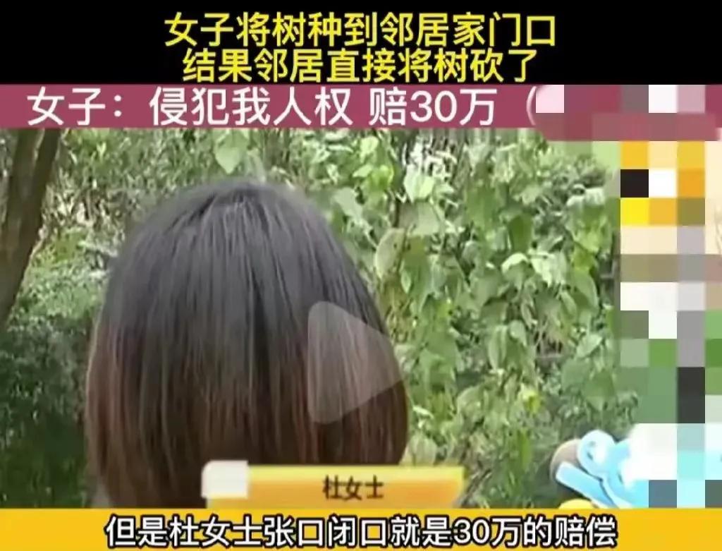 浙江杭州，女子的桂花树种在邻居家，长达12年，可突然来了新的邻居。新邻居嫌桂花树